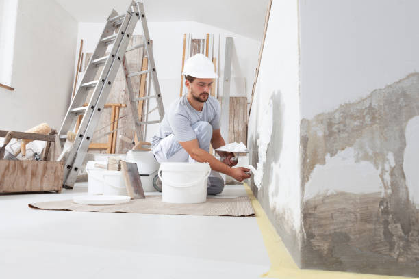 Best Commercial Painting  in Mayer, MN